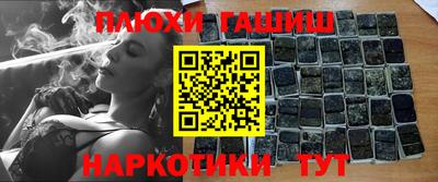 гидра Бердск