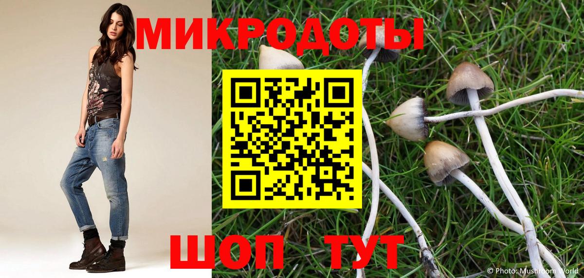 Псилоцибиновые грибы ЛСД Карпинск
