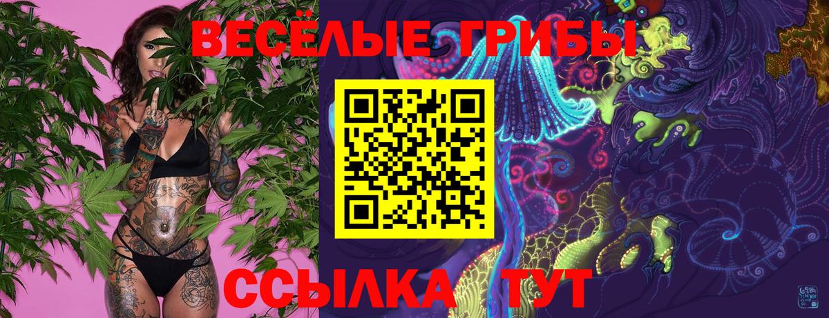 Псилоцибиновые грибы Psilocybe  Вход с VPN  Карпинск 
